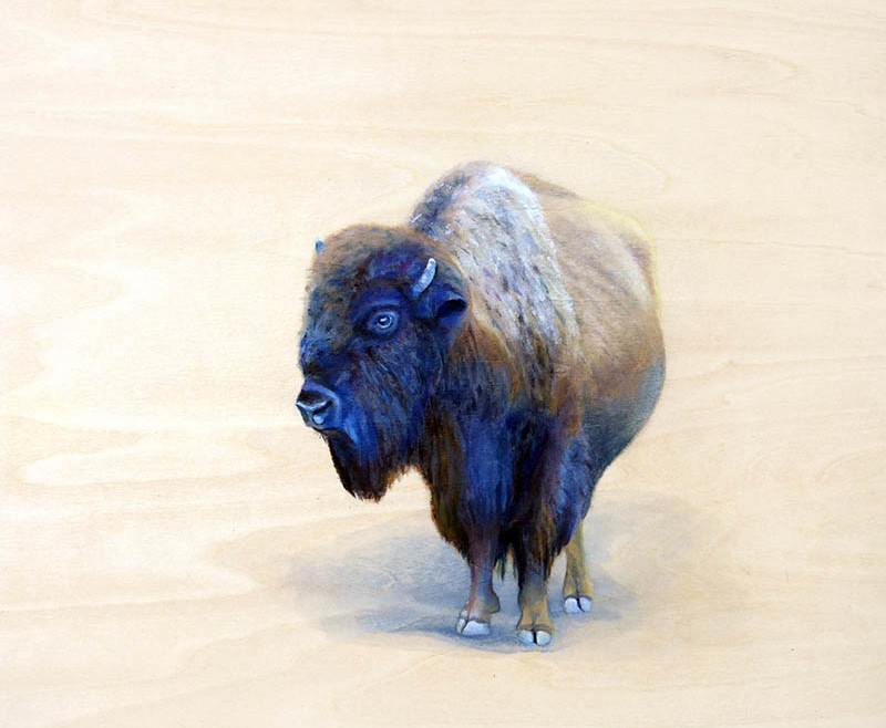 painting of solitary bison by Shelby Prindaville, acrylic on wood