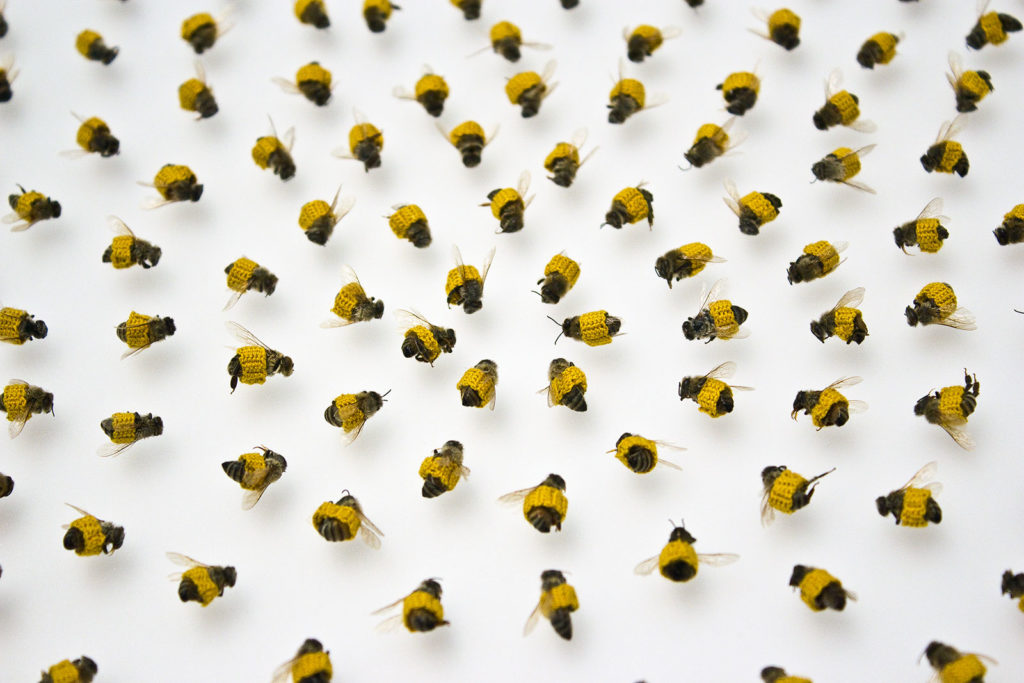 bees with knit coverings