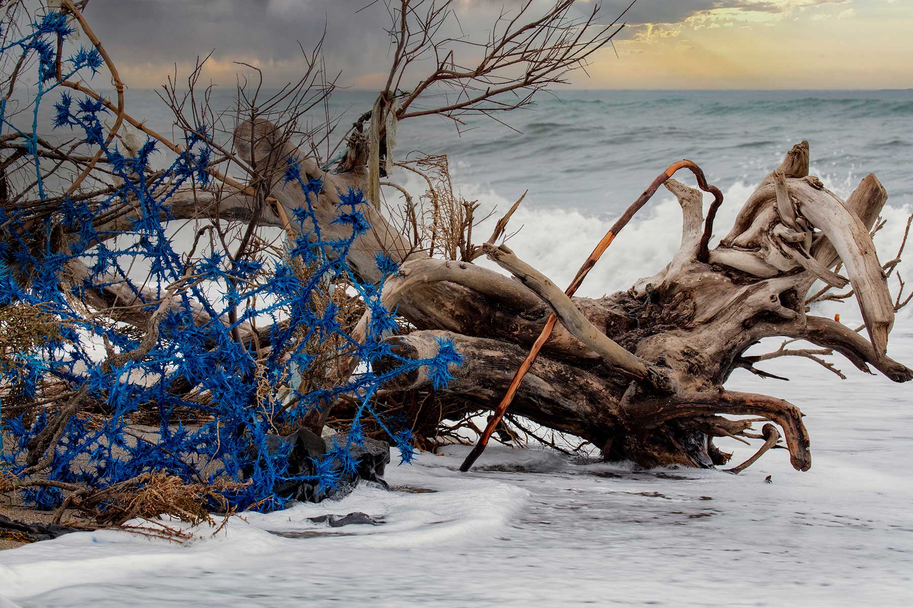 tree branch with plastic form